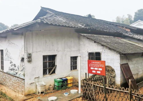 四級(jí)委員兩群聯(lián)動(dòng),線上線下融合建言農(nóng)業(yè)廢棄物處理與資源化利用 委員讀書